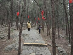 -云龙山