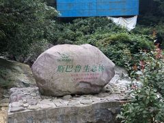 android_upload_pic-湖州龙王山景区