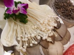 -08涮肉坊(广顺南大街店)