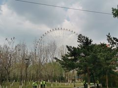 -万泉公园