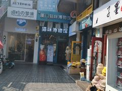 -猫咪博物馆(顶澳仔猫街店)
