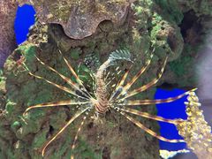 -萌宠奇缘(荣鼎店)