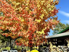 -鱼乐轩海鲜专门店