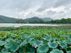 -顺峰山公园