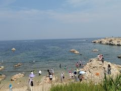 -养马岛旅游度假区