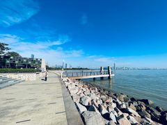 -深圳湾公园-停车场