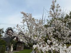 -金山农民画村-枫泾波兰倒置屋
