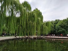 -玲珑塔公园
