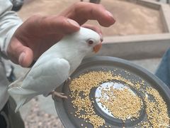 -北京野生动物园