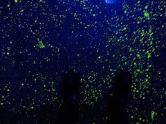 -CLUB VIVA(购物公园店)