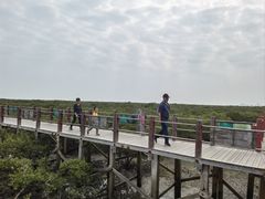 -北海金海湾红树林生态旅游区