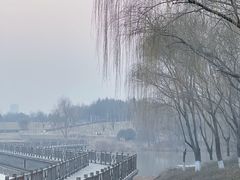 -西安浐灞国家湿地公园