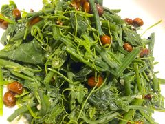 拌蕨菜-老济南·地道济南菜(大明湖店)