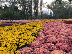 -国家植物园南园