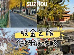 -苏州文庙(姑苏区)