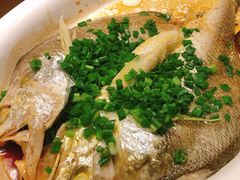 清蒸东海大黄鱼-彩虹之约•淮扬家宴(亚运村店)