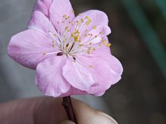 -天鹅湖体育公园