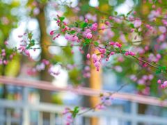 -瑞幸咖啡(艺树家工场店)