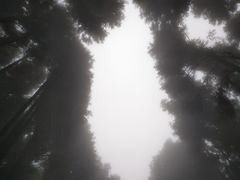 -山王坪喀斯特国家生态公园