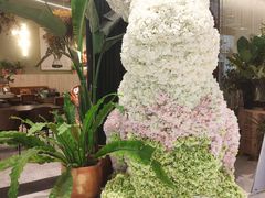 -PlantsEatery·植物食堂(REX春熙店)