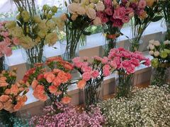 -花里花店(唐镇阳光天地店)