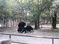 -南昌动物园