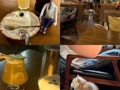 -咖法森林·咖啡  酒吧(天河店)