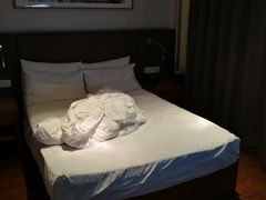 -和颐至尊酒店(北京望京798店)