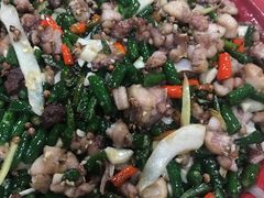 -东吴霸王兔(松青路店)