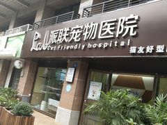 -派联宠物医院·24h·CT·异宠