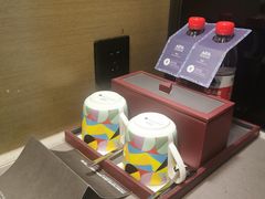 -南京禄口机场雅高铂尔曼大酒店