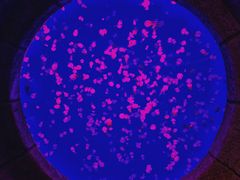 -波塞冬旅游度假区