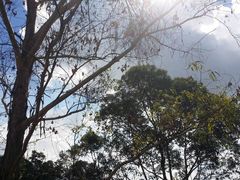 -火炉山森林公园