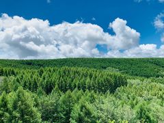 -塞罕坝国家级自然保护区