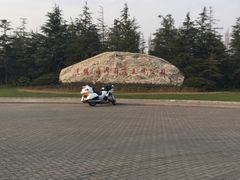 -上海海湾国家森林公园