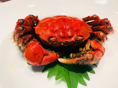 -新荣记(南京西路店)