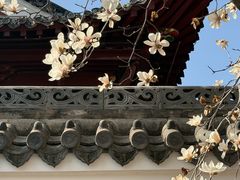 -长春观
