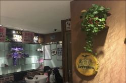 -木北造型