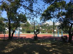 -大埔公路-马料水段香港中文大学(公交站)