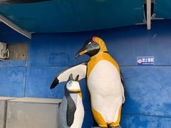 -太平洋海底世界