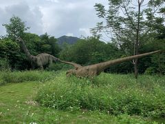 -龙谷湾旅游休闲度假区