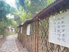 -同里国家湿地公园