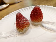 -卡吉诺动物奶油生日蛋糕(中原路店)