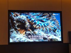 -新加坡瑞士史丹福酒店