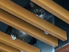 -上海海事大学(临港校区)