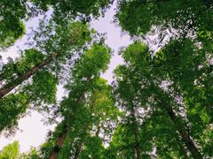 -南京金牛湖风景区
