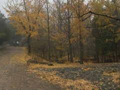 -阳台山自然风景区