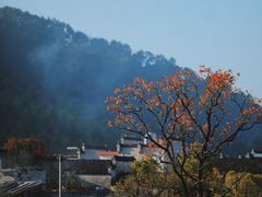 -塔川景区