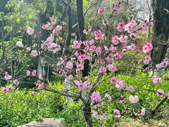 -泉城广场