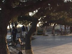 -青岛第二海水浴场